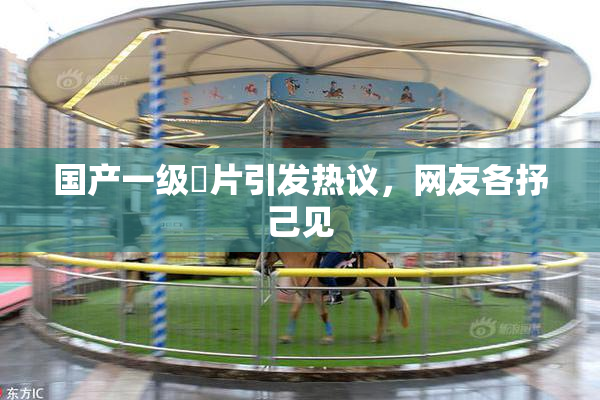国产一级婬片引发热议，网友各抒己见