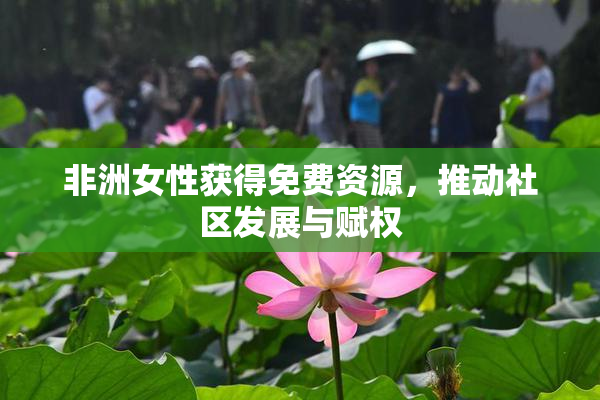 非洲女性获得免费资源，推动社区发展与赋权