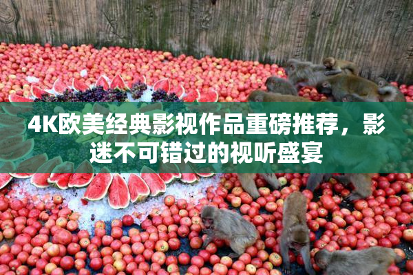4K欧美经典影视作品重磅推荐，影迷不可错过的视听盛宴