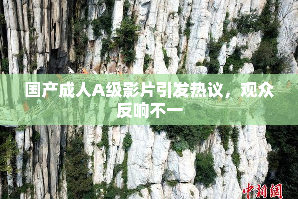 国产成人A级影片引发热议，观众反响不一