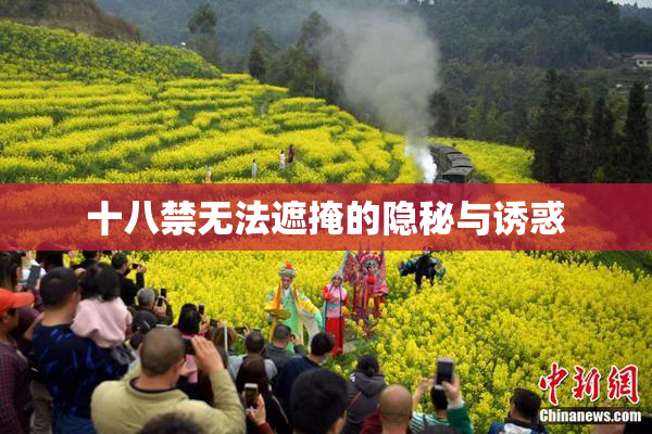 十八禁无法遮掩的隐秘与诱惑