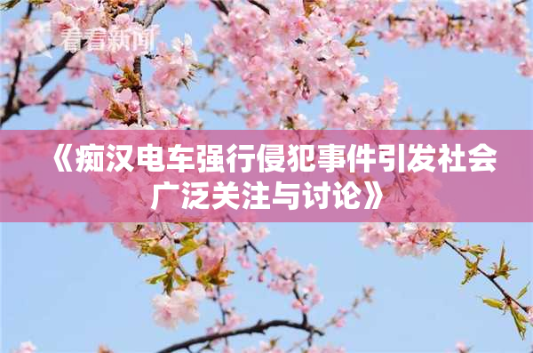 《痴汉电车强行侵犯事件引发社会广泛关注与讨论》