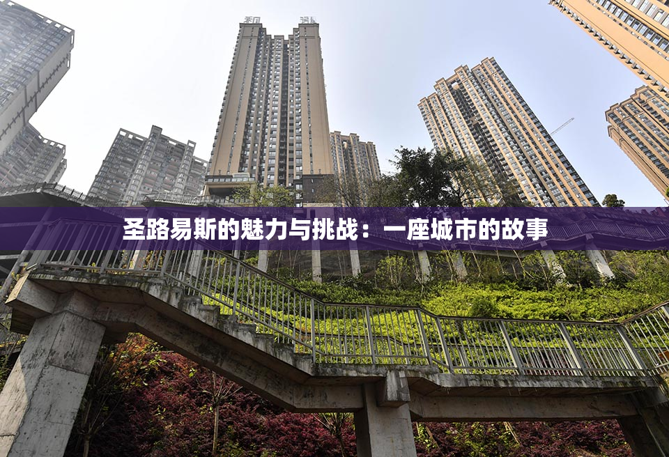 圣路易斯的魅力与挑战：一座城市的故事