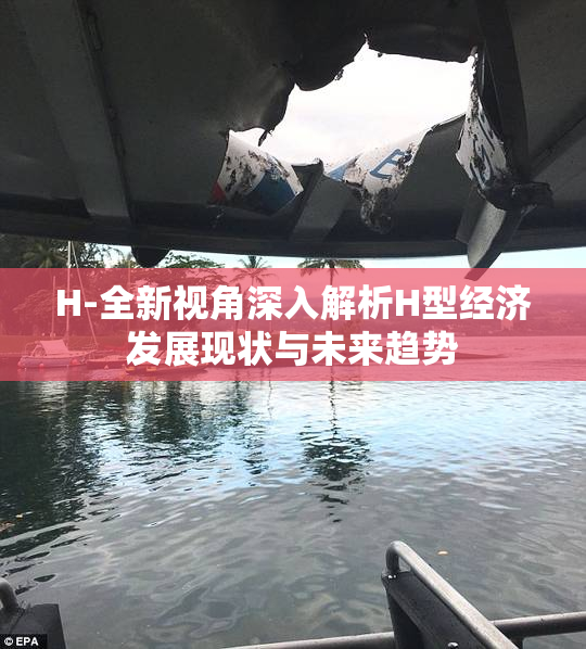 H-全新视角深入解析H型经济发展现状与未来趋势