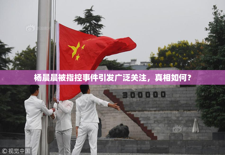 杨晨晨被指控事件引发广泛关注，真相如何？
