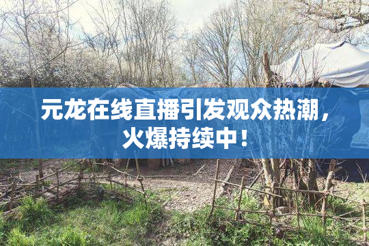 元龙在线直播引发观众热潮，火爆持续中！
