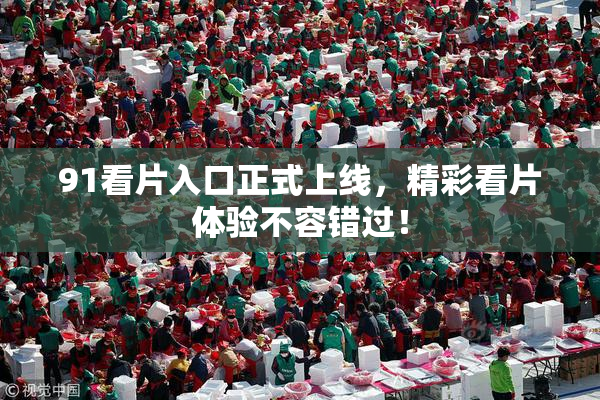 91看片入口正式上线，精彩看片体验不容错过！