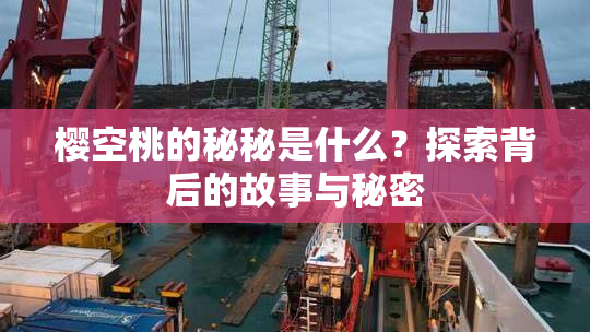 樱空桃的秘秘是什么？探索背后的故事与秘密