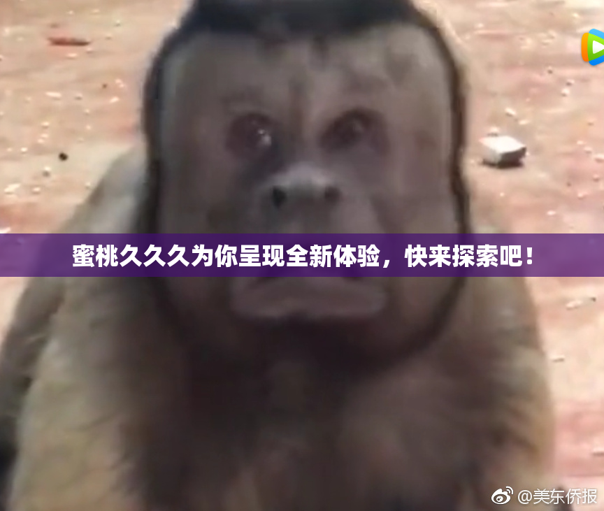 蜜桃久久久为你呈现全新体验，快来探索吧！