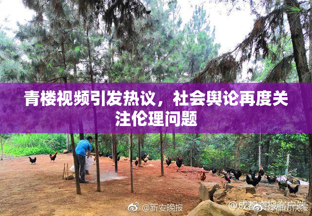 青楼视频引发热议，社会舆论再度关注伦理问题