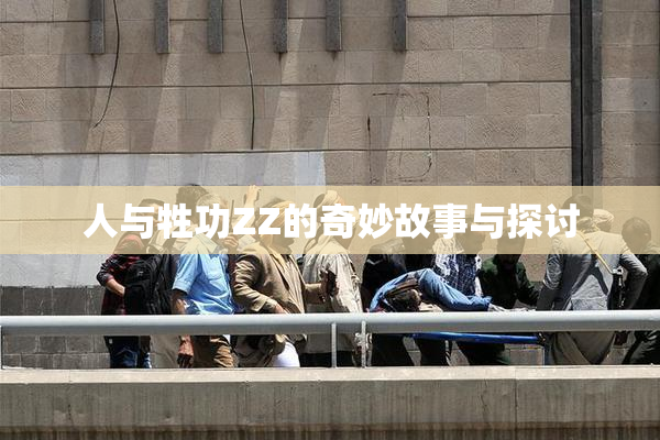 人与牲功ZZ的奇妙故事与探讨