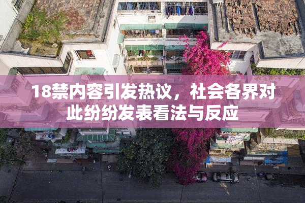 18禁内容引发热议，社会各界对此纷纷发表看法与反应