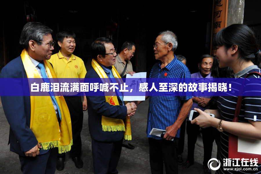白鹿泪流满面呼喊不止，感人至深的故事揭晓！