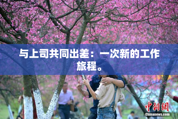 与上司共同出差：一次新的工作旅程。