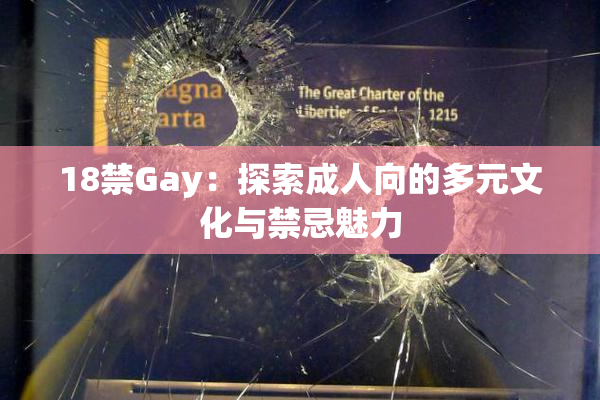 18禁Gay：探索成人向的多元文化与禁忌魅力