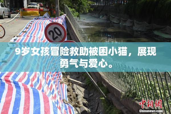 9岁女孩冒险救助被困小猫，展现勇气与爱心。