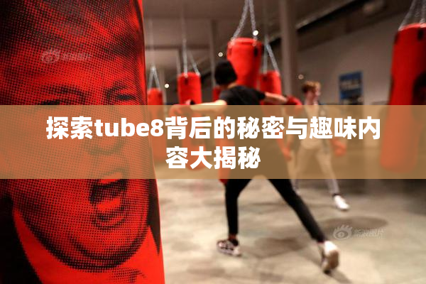 探索tube8背后的秘密与趣味内容大揭秘