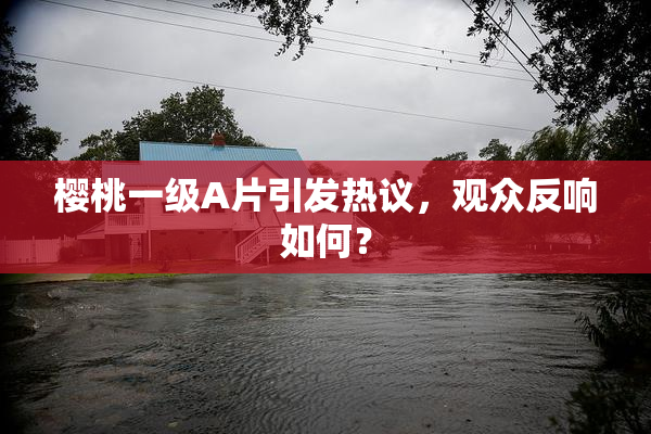樱桃一级A片引发热议，观众反响如何？