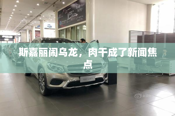 斯嘉丽闹乌龙，肉干成了新闻焦点