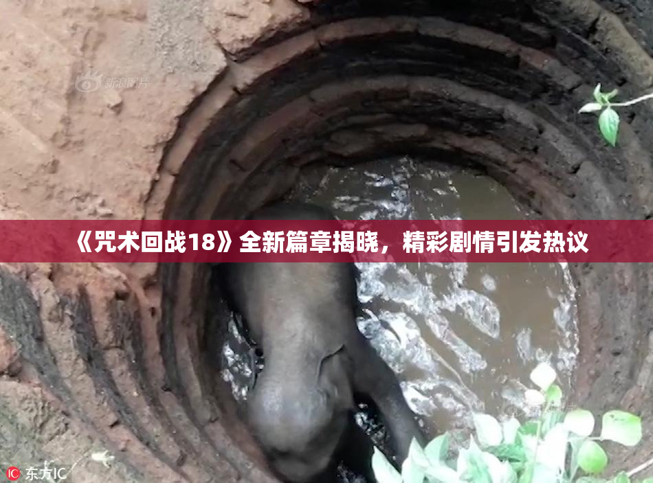 《咒术回战18》全新篇章揭晓，精彩剧情引发热议