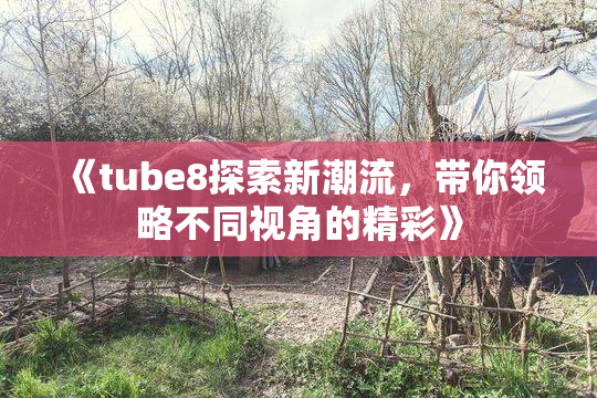 《tube8探索新潮流，带你领略不同视角的精彩》