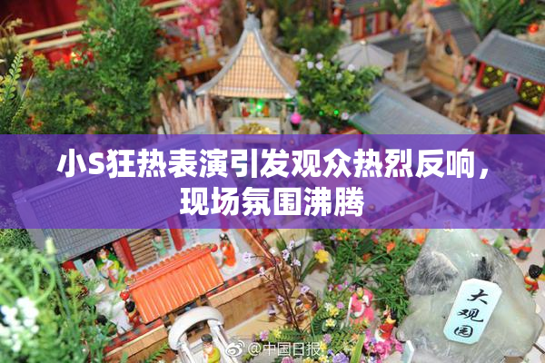 小S狂热表演引发观众热烈反响，现场氛围沸腾