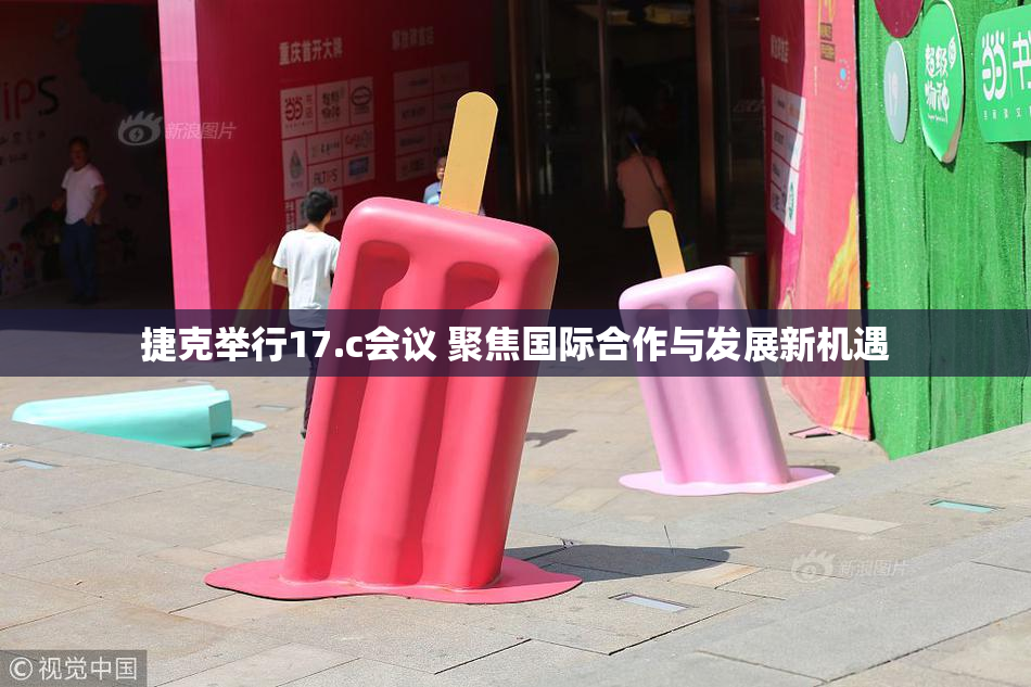 捷克举行17.c会议 聚焦国际合作与发展新机遇