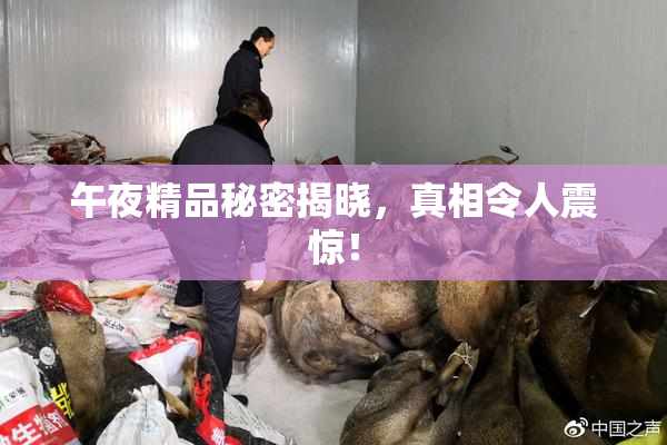 午夜精品秘密揭晓，真相令人震惊！
