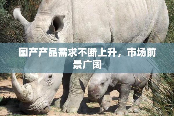 国产产品需求不断上升，市场前景广阔