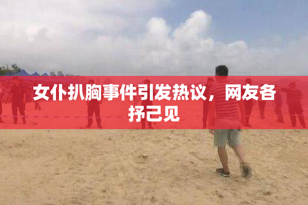 女仆扒胸事件引发热议，网友各抒己见