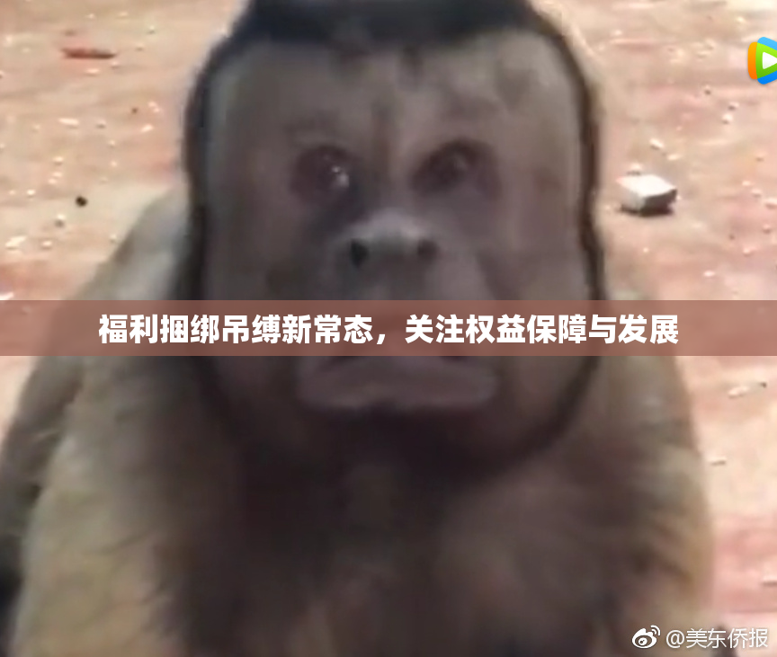 福利捆绑吊缚新常态，关注权益保障与发展