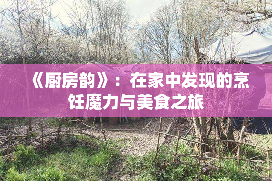 《厨房韵》：在家中发现的烹饪魔力与美食之旅