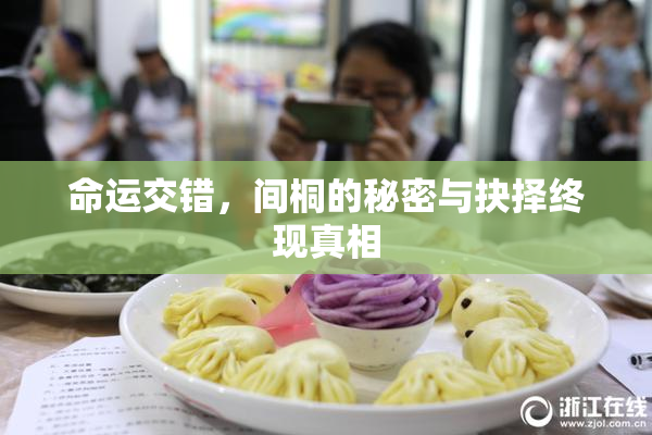 命运交错，间桐的秘密与抉择终现真相