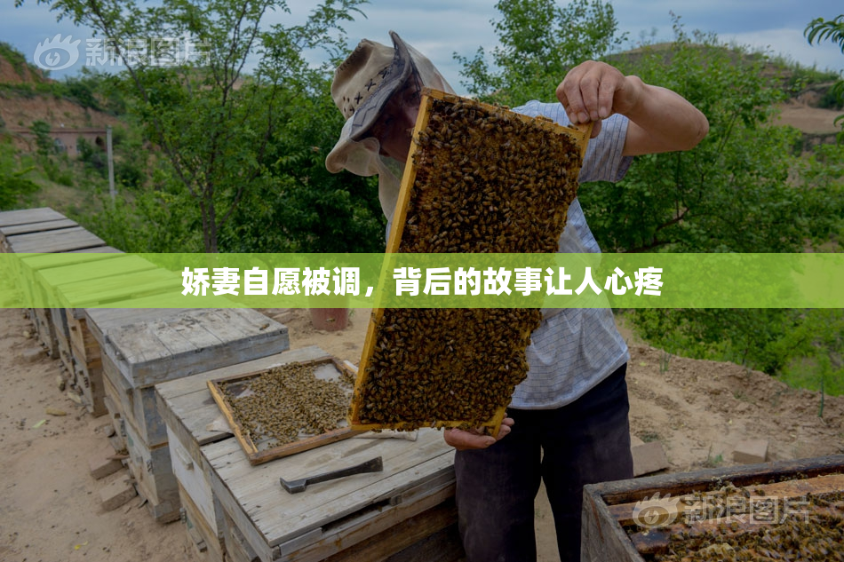 娇妻自愿被调，背后的故事让人心疼