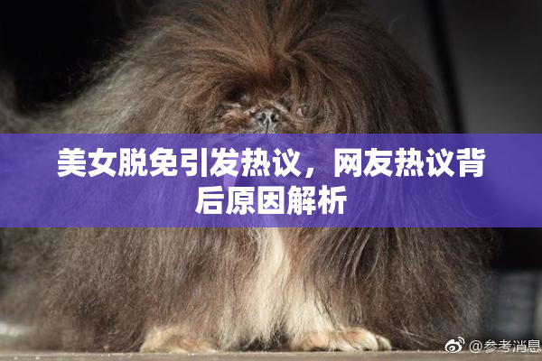美女脱免引发热议，网友热议背后原因解析