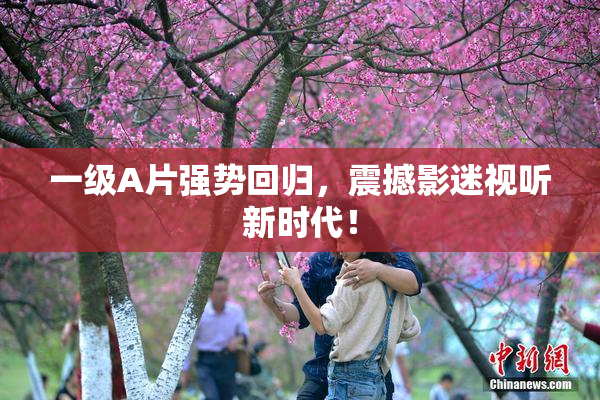 一级A片强势回归，震撼影迷视听新时代！