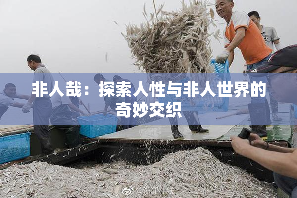 非人哉：探索人性与非人世界的奇妙交织