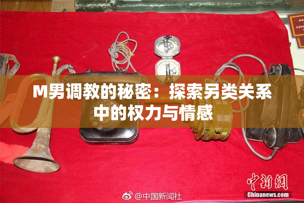 M男调教的秘密：探索另类关系中的权力与情感