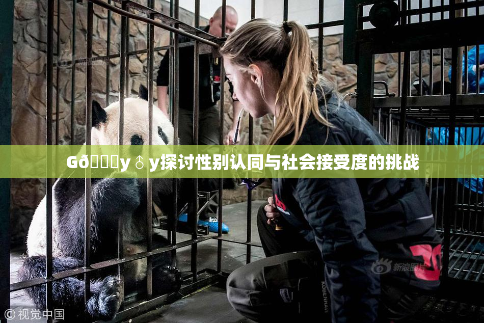 G🈚y♂y探讨性别认同与社会接受度的挑战