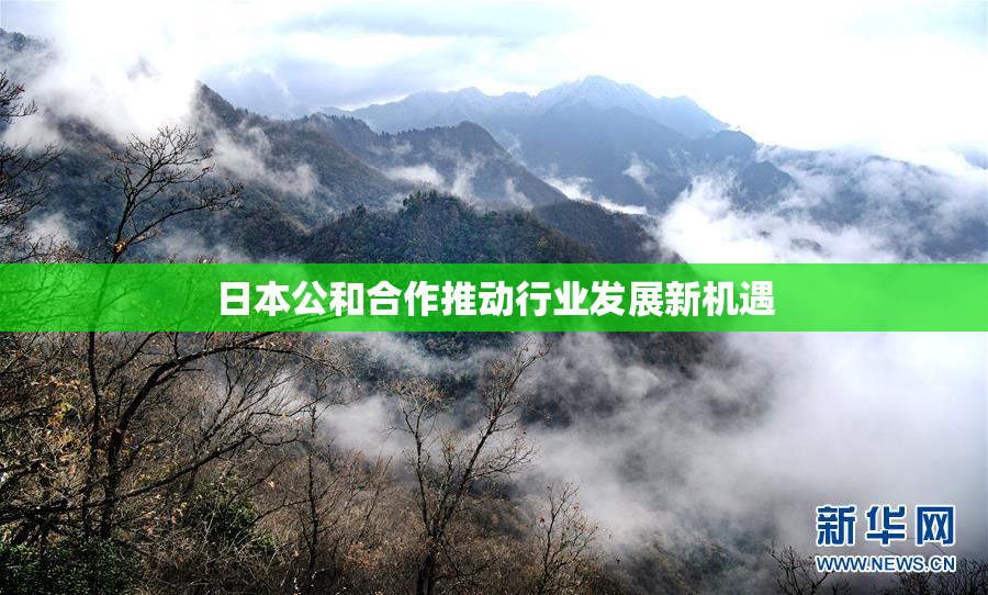 日本公和合作推动行业发展新机遇