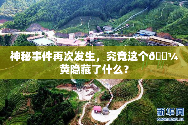 神秘事件再次发生，究竟这个🌼黄隐藏了什么？