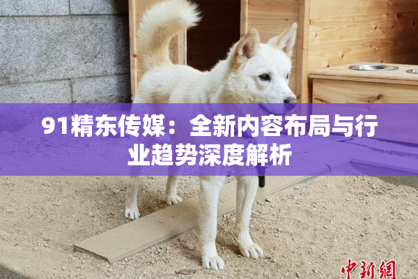 91精东传媒：全新内容布局与行业趋势深度解析