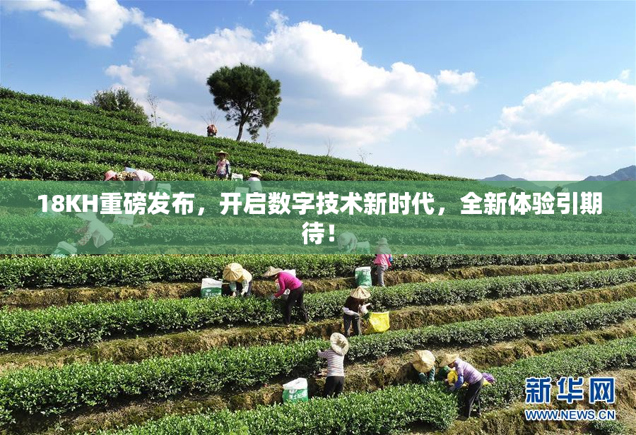 18KH重磅发布，开启数字技术新时代，全新体验引期待！