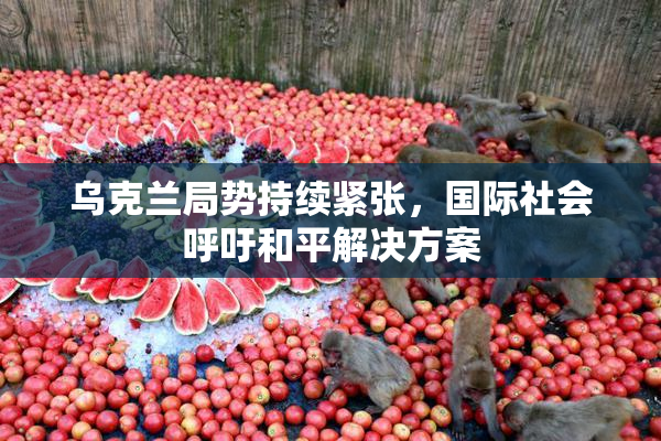 乌克兰局势持续紧张，国际社会呼吁和平解决方案