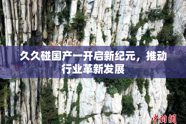 久久碰国产一开启新纪元，推动行业革新发展
