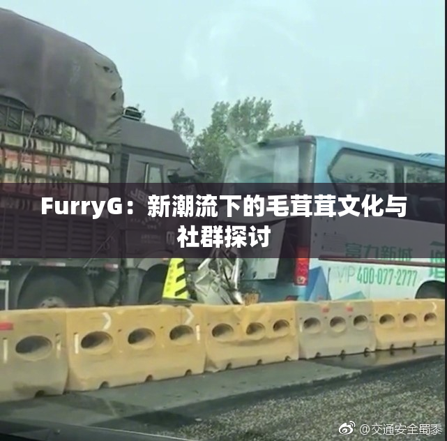 FurryG：新潮流下的毛茸茸文化与社群探讨