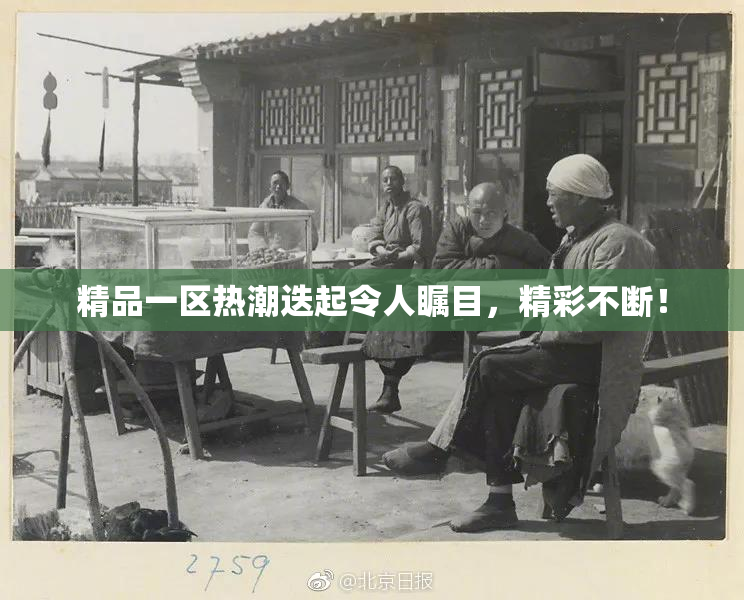 精品一区热潮迭起令人瞩目，精彩不断！