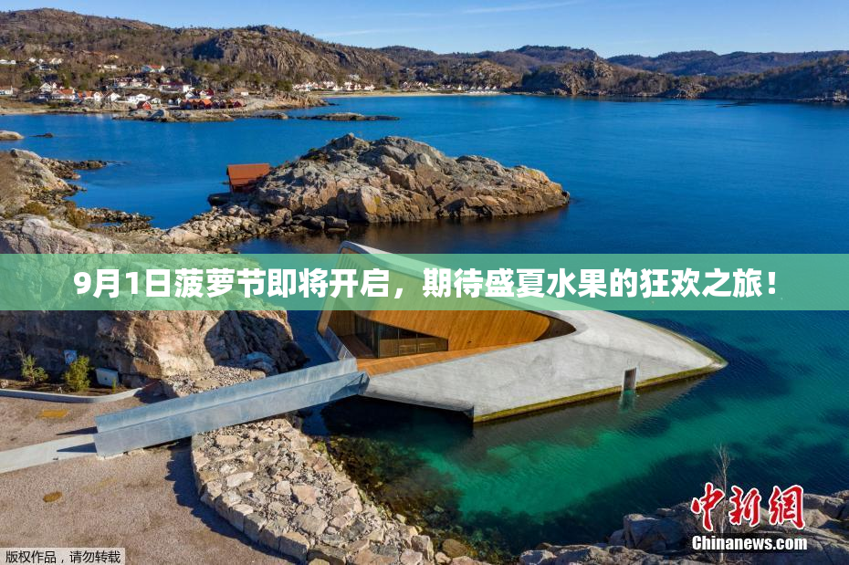 9月1日菠萝节即将开启，期待盛夏水果的狂欢之旅！