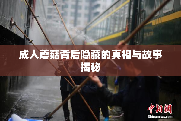 成人蘑菇背后隐藏的真相与故事揭秘