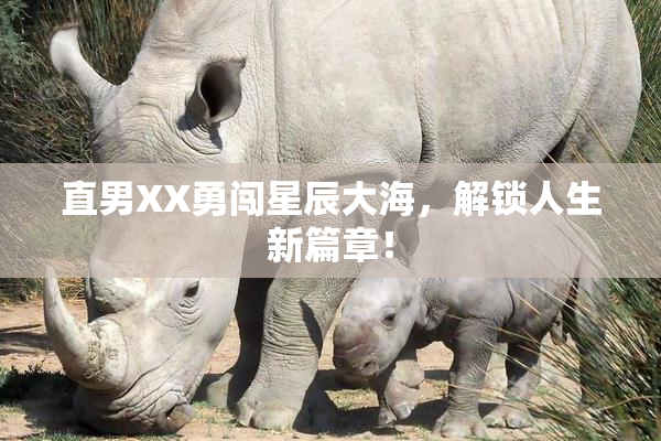 直男XX勇闯星辰大海，解锁人生新篇章！